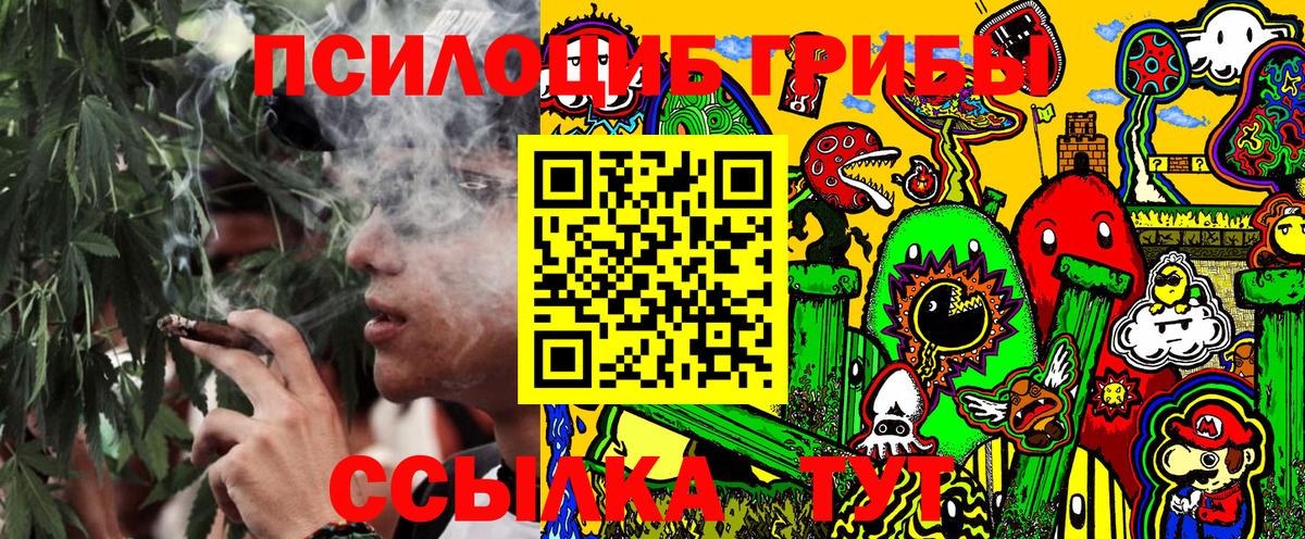 Сунжа  Галлюциногенные грибы прущие грибы  Галлюциногенные грибы MAGIC MUSHROOMS  Вход с VPN 